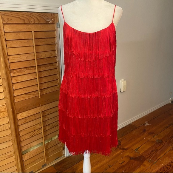 Morgan and Co Elegant Red Fringe Flapper Dress Size 13/14 Great Gatsby Party Fun - Picture 13 of 13